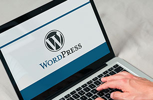 Learn PHP And WordPress